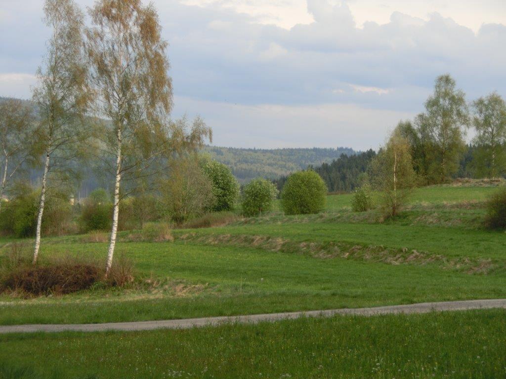 Pension Fohlenhof Frauenau Exterior foto